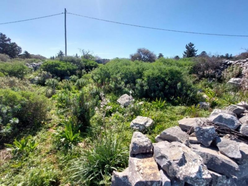 Kefalas Chania Kreta, Kefalas Chania: Atemberaubendes Grundstück mit Meerblick zum Verkauf Grundstück kaufen